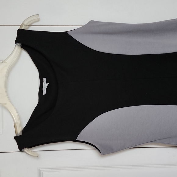 Velvet Torch Dress - Picture 2 of 7